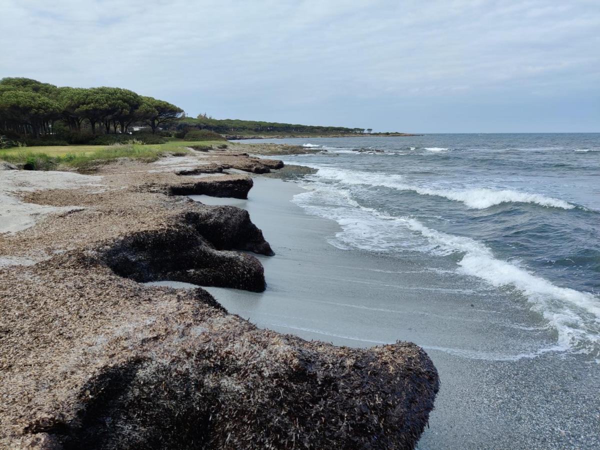 부도니 Rotonda Sul Mare 빌라 외부 사진